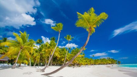 16 dg cruise Caribische Zee Mein Schiff 5